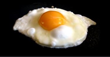 Egg ਦੀ ਤਾਜ਼ਗੀ ਕਿਵੇਂ ਚੈੱਕ ਕਰੀਏ; ਨਜ਼ਰ ਆਉਣ ਇਹ 11 ਸੰਕੇਤ ਤਾਂ ਸਮਝ ਲਓ ਅੰਡਾ ਖਰਾਬ..,ਨਜ਼ਰਅੰਦਾਜ਼ ਕੀਤਾ ਤਾਂ ਹੋਵੋਗੇ ਬਿਮਾਰ