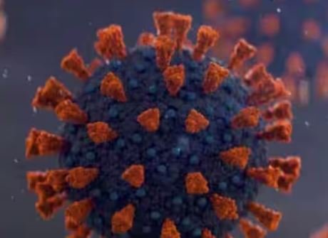 New Coronavirus Strain: ਮੁੜ ਤੋਂ ਫੈਲ ਰਿਹਾ ਕੋਰੋਨਾਵਾਇਰਸ ਦਾ ਇੱਕ ਨਵਾਂ ਸਟ੍ਰੇਨ, ਜਾਣੋ ਇਸ ਵਾਰ ਕਿਹੋ ਜਿਹੇ ਨੇ ਲੱਛਣ ?