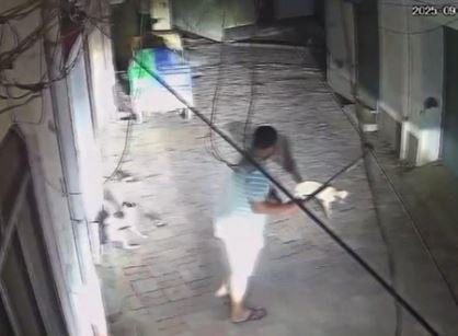 Jalandhar Dog Beaten : ਜਲੰਧਰ 'ਚ ਬੇਜ਼ੁਬਾਨਾਂ 'ਤੇ ਬੇਰਹਿਮੀ ! ਸ਼ਖਸ ਨੇ ਹਾਕੀ ਨਾਲ ਕੁੱਟ-ਕੁੱਟ ਕੇ ਮਾਰੇ ਕੁੱਤੇ, ਇੱਕ ਦੀ ਮੌਤ, ਦੂਜਾ ਜ਼ਖ਼ਮੀ