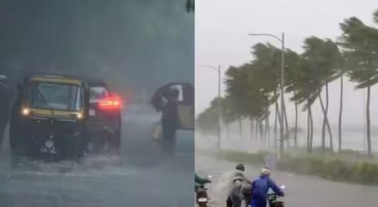 ਜ਼ਿਲ੍ਹਾ ਪ੍ਰਸ਼ਾਸਨ ਦੀਆਂ ਟੀਮਾਂ ਵੱਲੋਂ ਜ਼ਿਲ੍ਹੇ ਭਰ 'ਚ ਸਾਰਾ ਦਿਨ ਘੱਗਰ, ਵੱਡੀ ਨਦੀ ਤੇ ਹੋਰ ਨਦੀਆਂ ਦੀ ਰੈਕੀ, ਕਮਜ਼ੋਰ ਬੰਨ੍ਹ ਕੀਤੇ ਮਜ਼ਬੂਤ