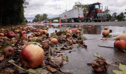 ਜੰਮੂ ਦੇ ਕਿਸਾਨਾਂ ਲਈ ਆਫ਼ਤ ਬਣਿਆ ਮੀਂਹ, ਹੜ੍ਹ ਕਾਰਨ ਤਬਾਹ ਹੋਈਆਂ ਝੋਨੇ ਤੇ ਸੇਬ ਦੀਆਂ ਫ਼ਸਲਾਂ